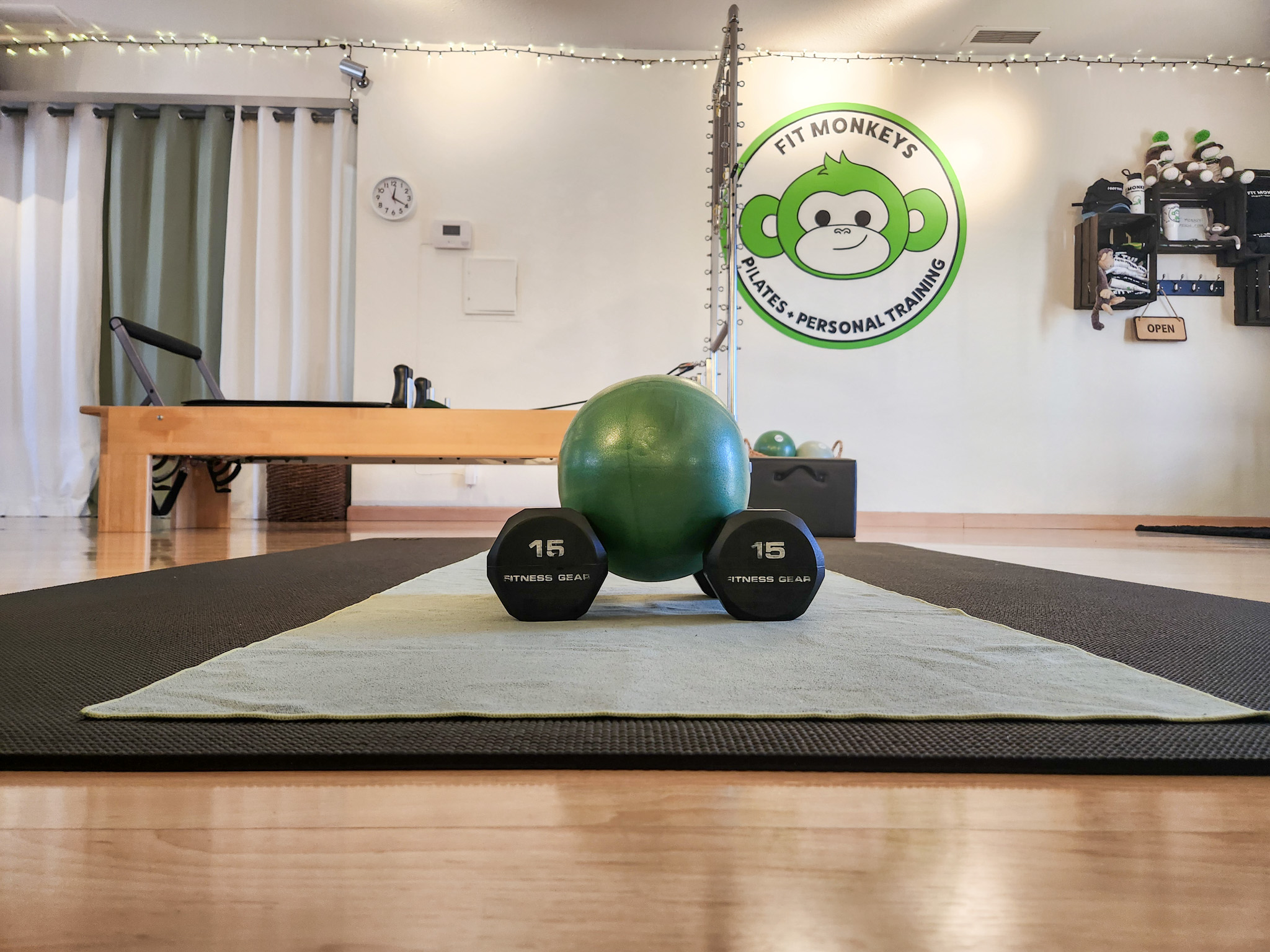Dumbbells and stability ball set up for personal training inside the Fit Monkeys studio in Carlsbad.